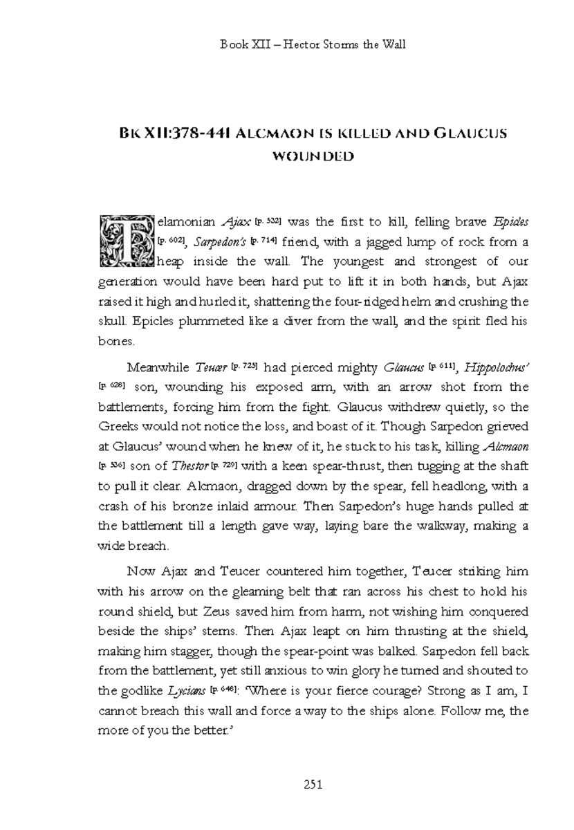 The Iliad - Page 245